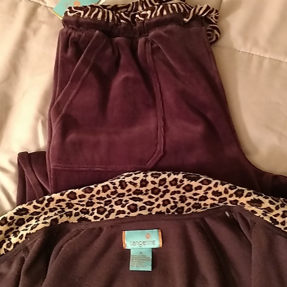 Velour sweatsuit (BRAND NEW!) - Picture 3 of 4